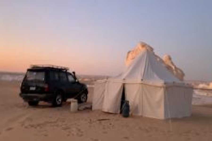 Tours to Egypt Black and White Desert Tour from Cairo 2024/2025
