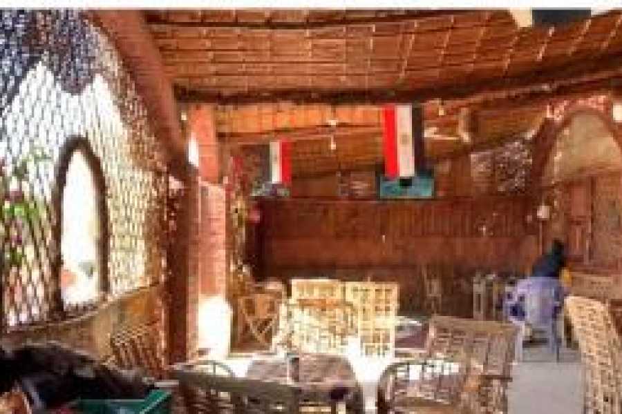 Tours to Egypt NACHTCAMPING IM WADI EL HITAN 2024/2025