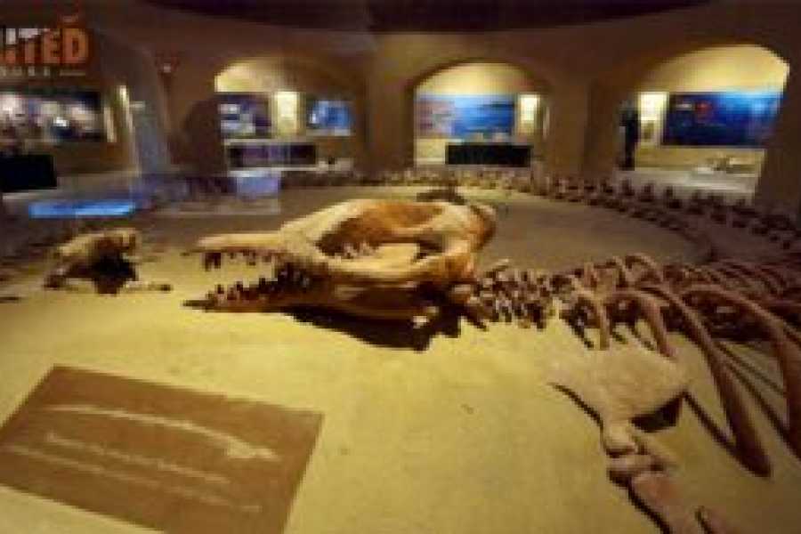 Tours to Egypt NACHTCAMPING IM WADI EL HITAN 2024/2025