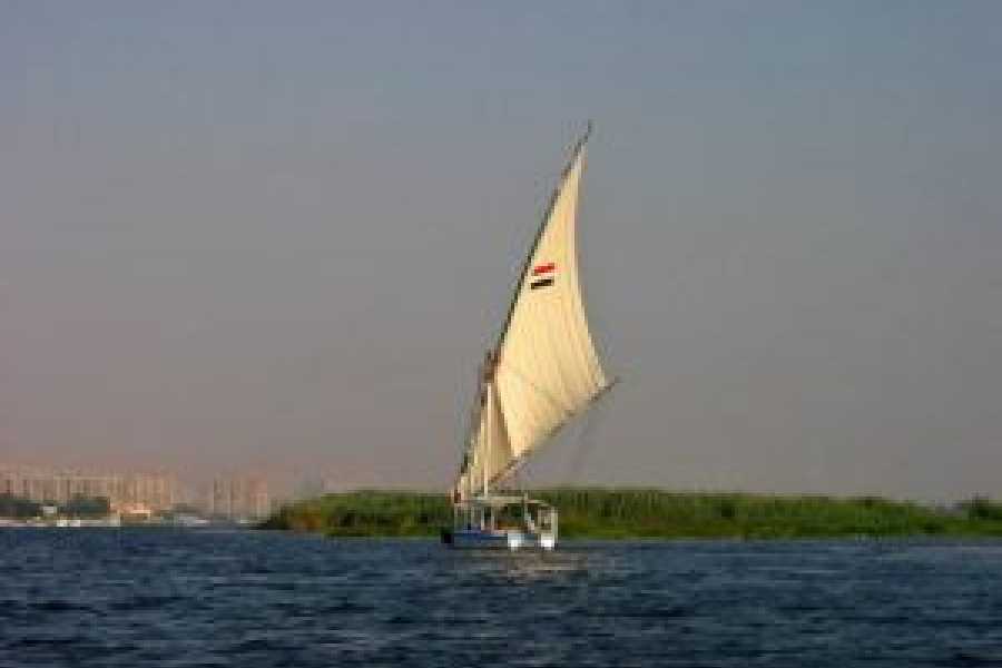 Tours to Egypt 4 JOURS DE VACANCES DE NO&Euml;L EN &Eacute;GYPTE AU CAIRE ET AU FAYOUM 2024/2025