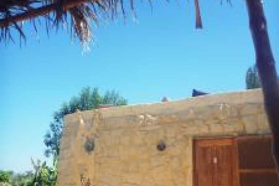 Tours to Egypt 4-T&Auml;GIGE &Auml;GYPTEN-WEIHNACHTSPAKET 2024/2025