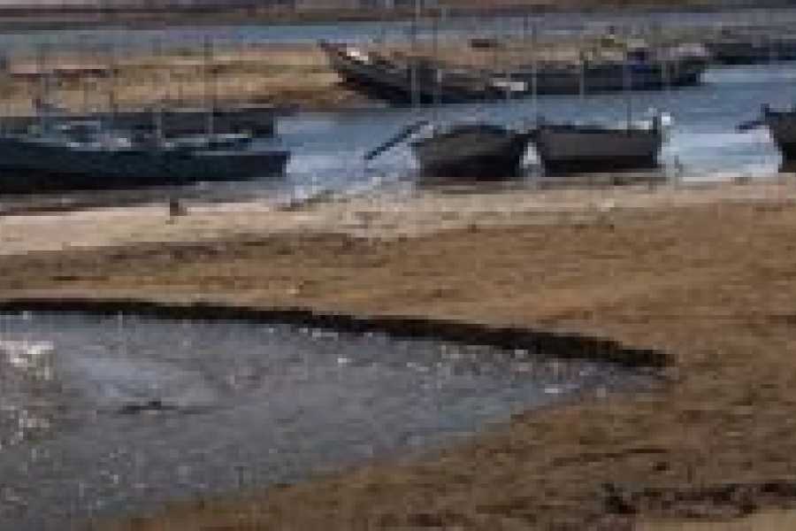 Tours to Egypt 4-T&Auml;GIGE &Auml;GYPTEN-WEIHNACHTSPAKET 2024/2025