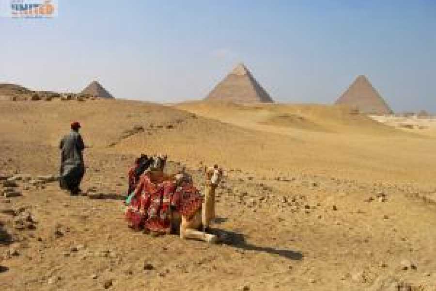 Tours to Egypt FORFAIT VOYAGE DU NOUVEL AN 2025 EN &Eacute;GYPTE AVEC CROISI&Egrave;RE SUR LE NIL