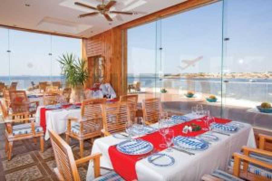 Tours to Egypt 5 TAGE IM SUNRISE ARABIAN BEACH RESORT IN SHARM EL SHEIKH 2024/2025