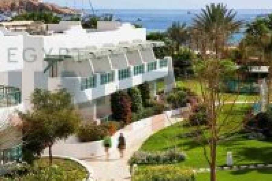 Tours to Egypt 6 Days at Novotel Hotel in Sharm El Sheikh 2024/2025