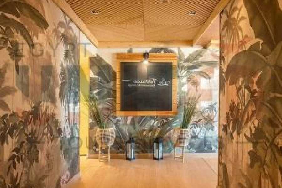 Tours to Egypt 4 Days At New Minerva Hotel In Cairo With Tours Included In This Package 2024/2025