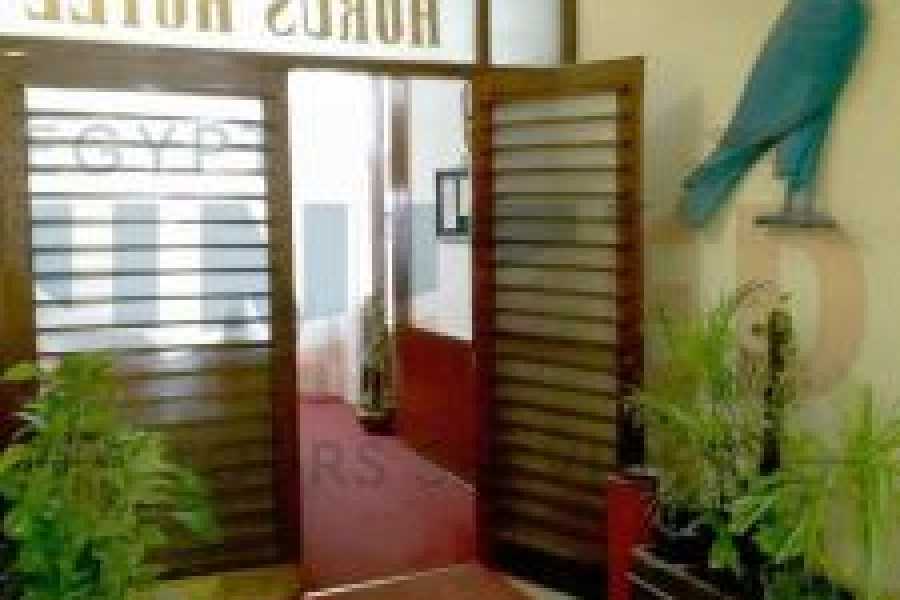 Tours to Egypt Four Days At Horus House House Hotel Cairo With Included Top Tours 2024/2025
