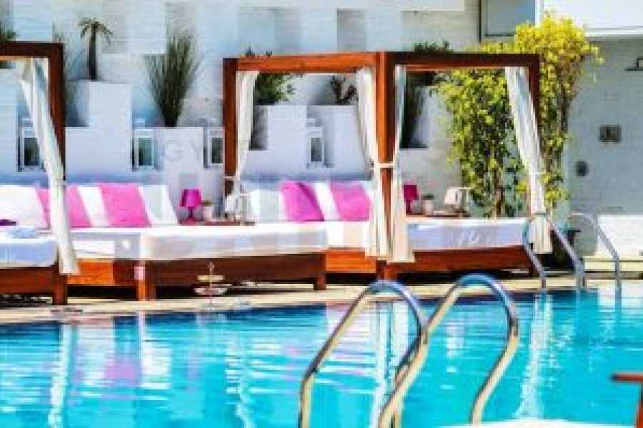 Tours to Egypt 6 JOURS &Agrave; L'H&Ocirc;TEL GABRIEL AVEC LES MEILLEURS CIRCUITS 2024/2025