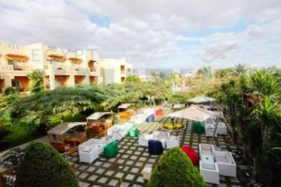 Tours to Egypt 6 Days At Swiss Inn Pyramids Golf Resort With Tours 2024/2025