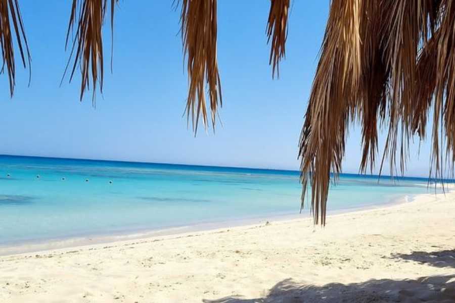 Egypt Tour packages Mahmya Island Snorkeling In Hurghada