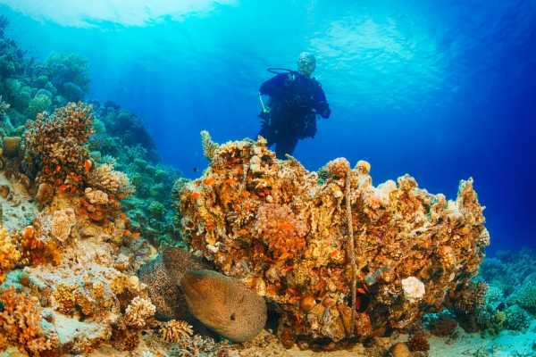Scuba Diving Day trip from Hurghada