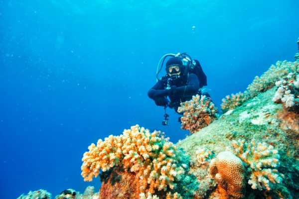 Scuba Diving Day trip from Hurghada