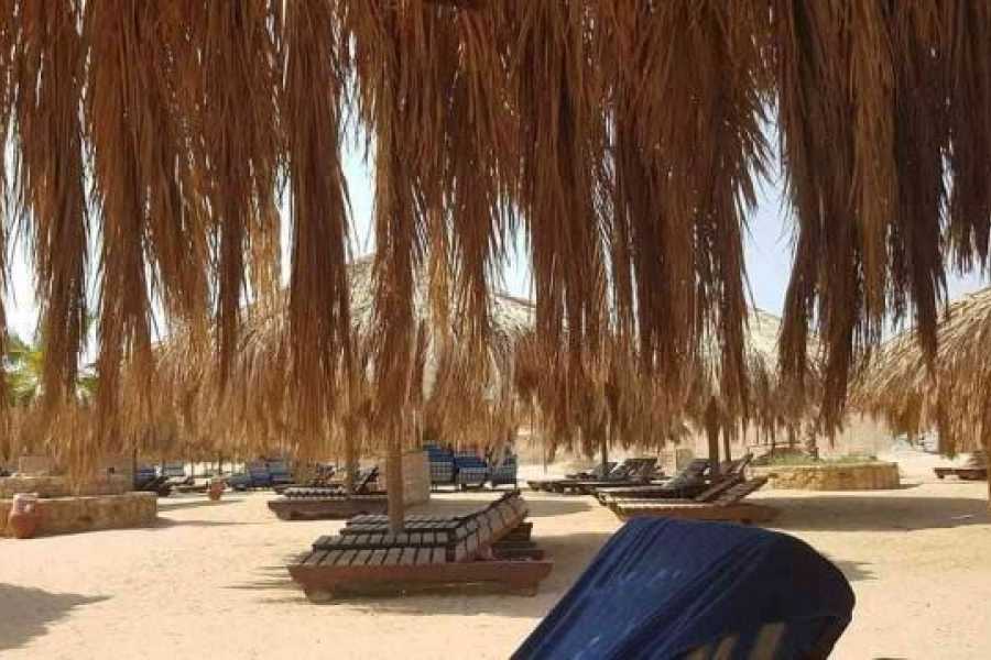 Egypt Tour packages Sharm el Naga Snorkeling Trip from Soma Bay