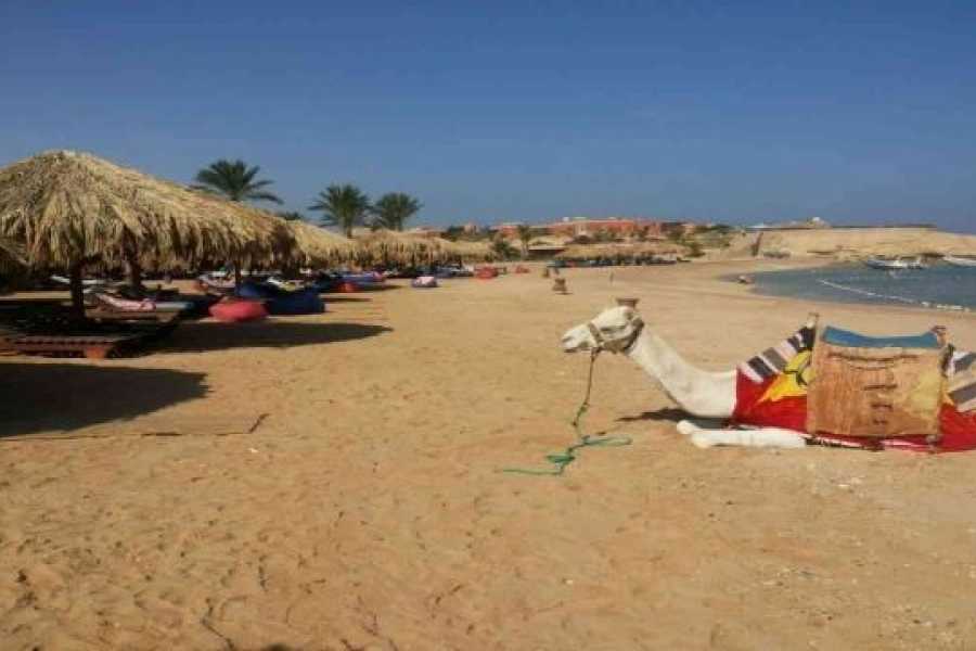 Egypt Tour packages Sharm el Naga Snorkeling Trip from Soma Bay