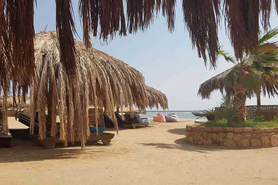 Egypt Tour packages Sharm el Naga Snorkeling Trip from Soma Bay