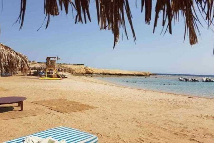 Egypt Tour packages Sharm el Naga Snorkeling Trip from Soma Bay