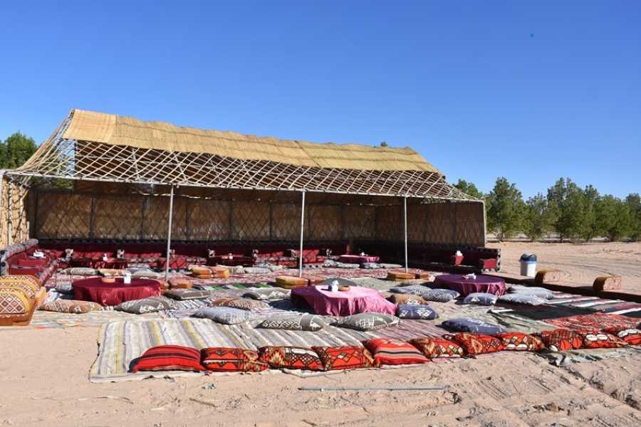 Egypt Tour packages Star Gazing Trip from Soma Bay