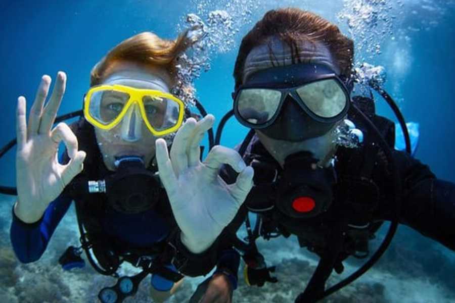 Egypt Tour packages Scuba Diving Day trip from Soma Bay