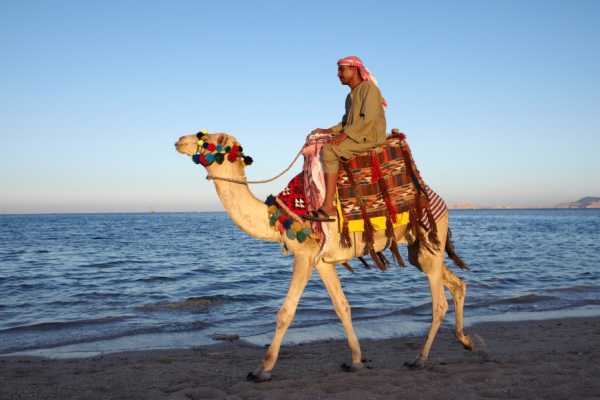 10 Days Trip Cairo Nile cruise and sharm el sheikh