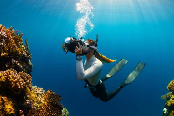Freediving - Coaching