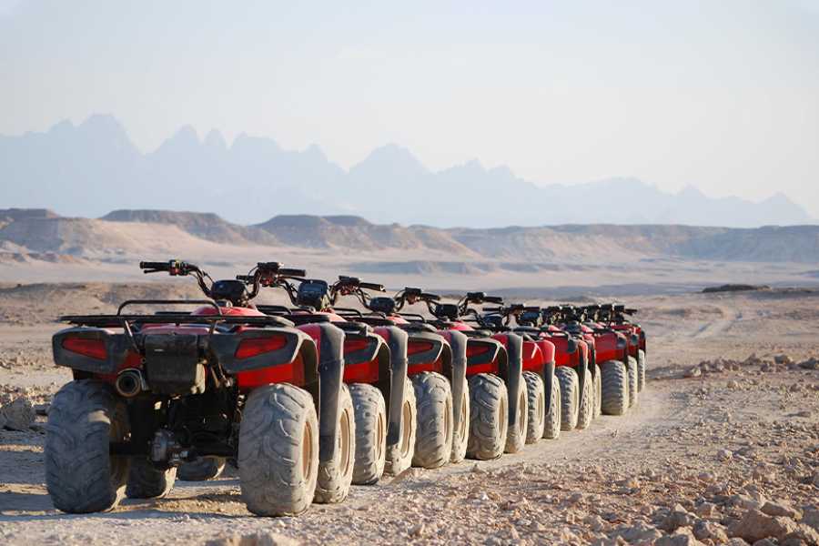 Egypt Tour packages Morning Quad biking trip from Makadi