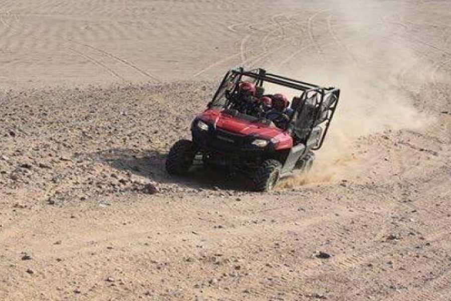 Egypt Tour packages Makadi Morning car buggy tours