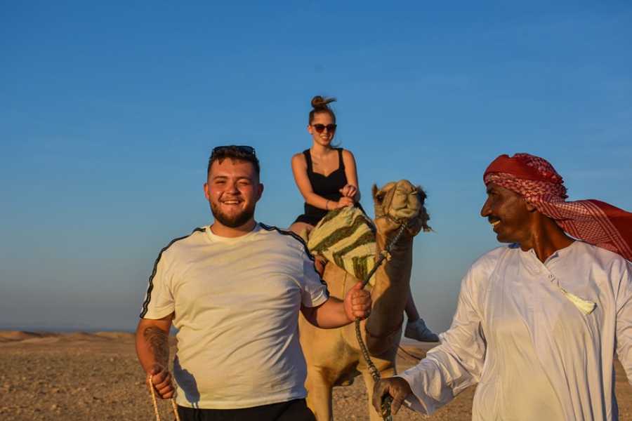 Egypt Tour packages Star Gazing Trip from Makadi
