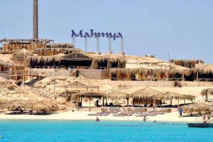 Egypt Tour packages Mahmya Island Snorkeling from Makadi