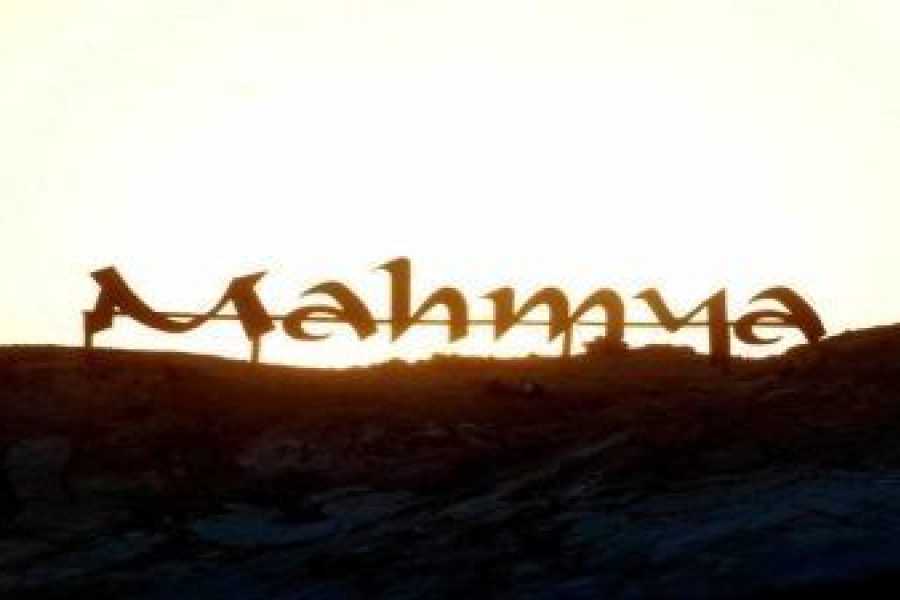 Egypt Tour packages Mahmya Island Snorkeling from Makadi