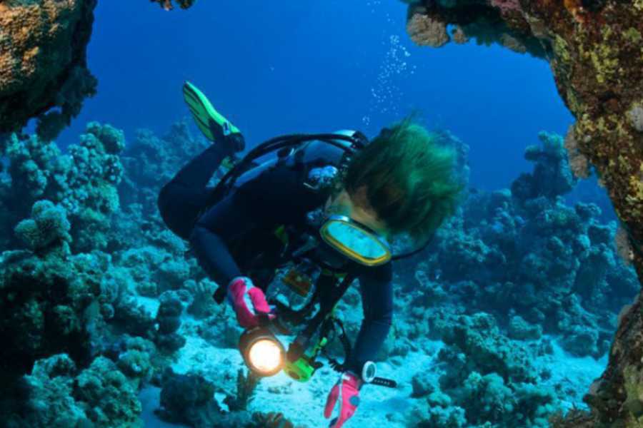 Egypt Tour packages Scuba Diving Day trip from Makadi