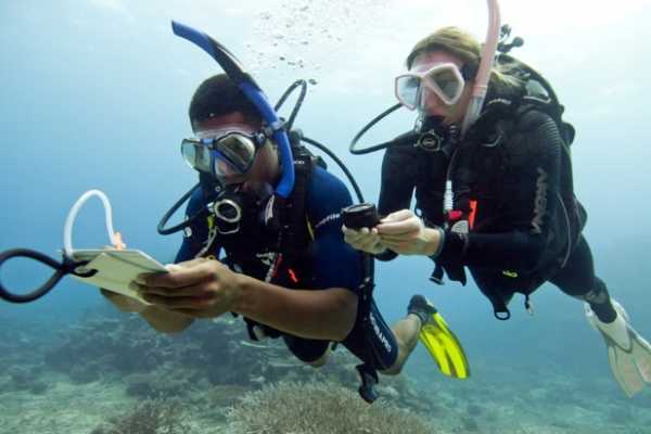 PADI Specialty - Underwater Navigation**