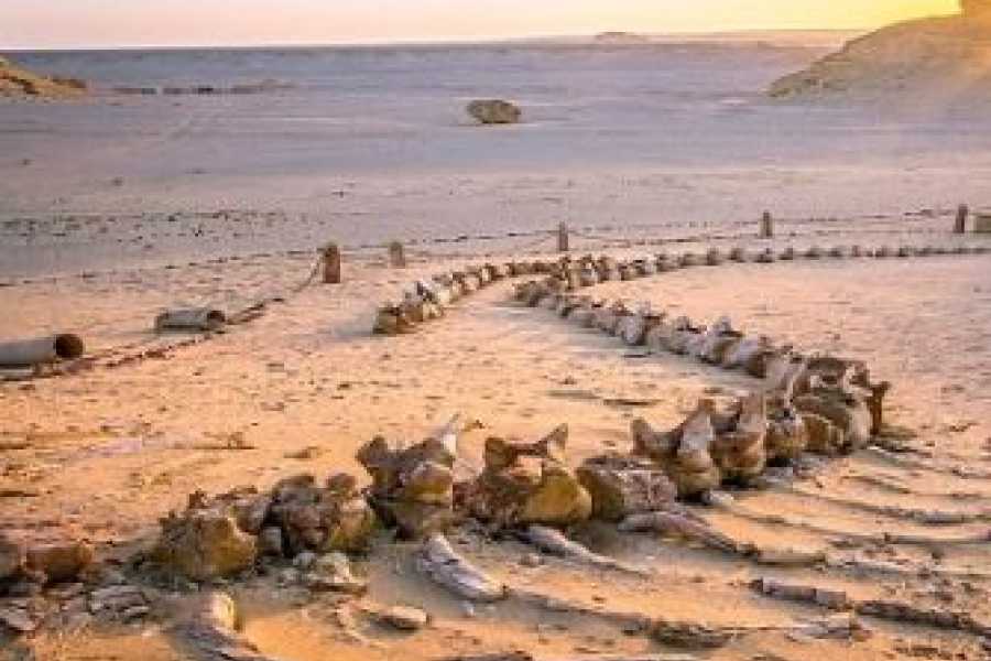 Egypt Tour packages The Best Egypt Itinerary 8 Days
