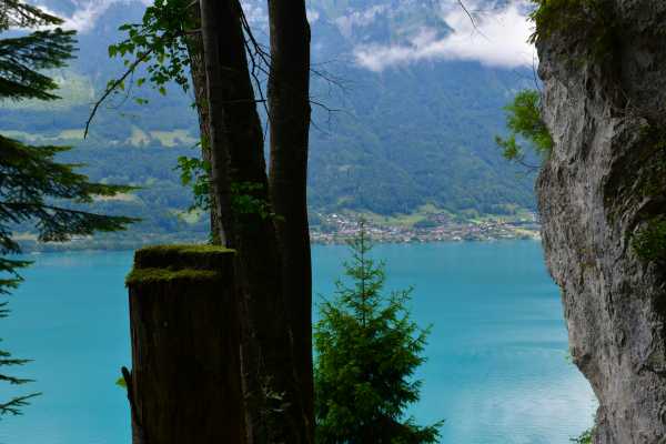Half-Day Lake Brienz Cruise Itinerary