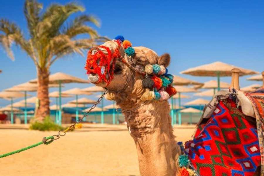 Egypt Tour packages 12 Days Egypt Tour Package with Red Sea