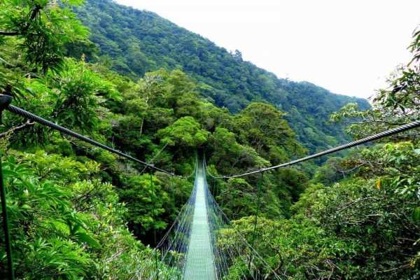 Mistico Hanging Bridges Walk 