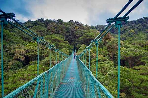 Mistico Hanging Bridges Walk 