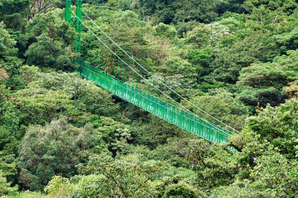Mistico Hanging Bridges Walk 