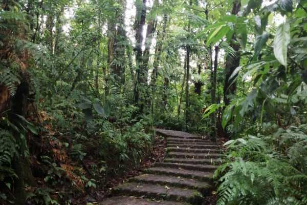 Mistico Hanging Bridges Walk 