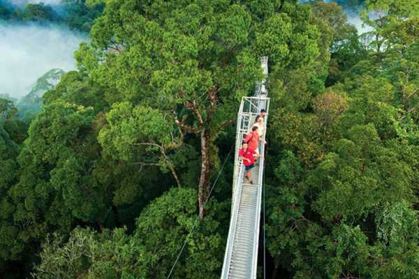 Mistico Hanging Bridges Walk 