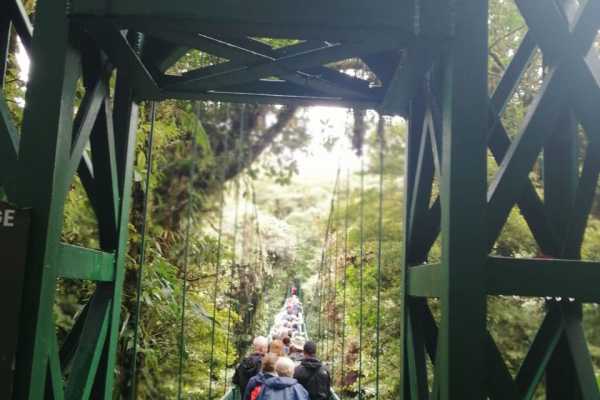 Mistico Hanging Bridges Walk 