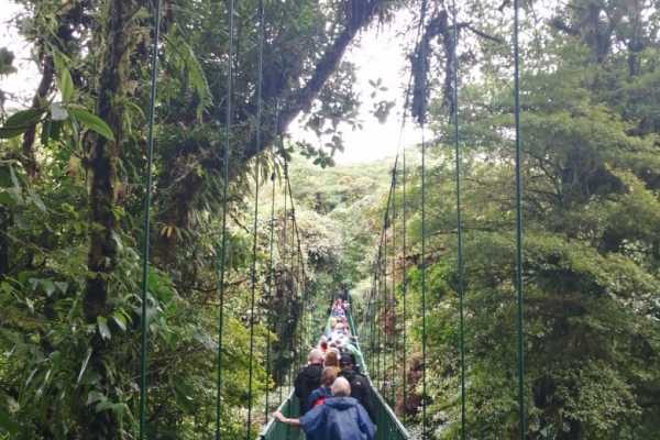 Mistico Hanging Bridges Walk 