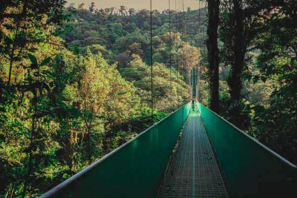 Mistico Hanging Bridges Walk 