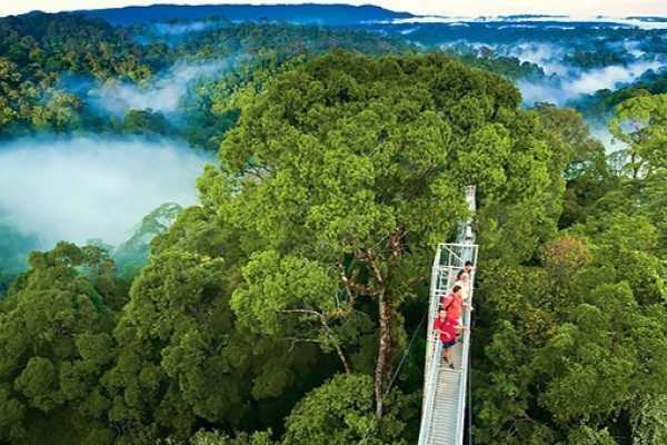 Mistico Hanging Bridges Walk 