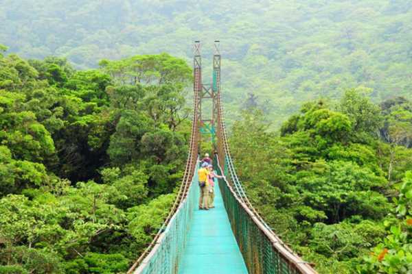 Mistico Hanging Bridges Walk 