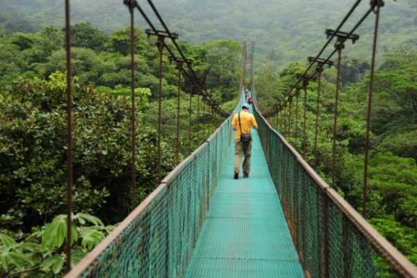 Mistico Hanging Bridges Walk 