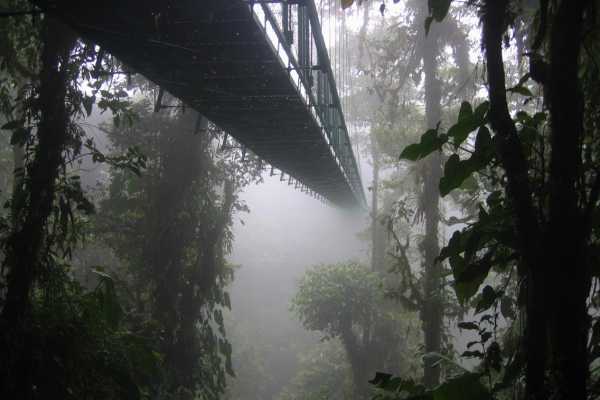 Mistico Hanging Bridges Walk 