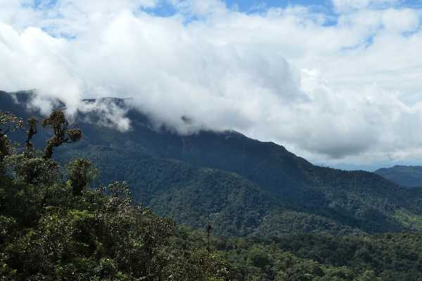 Mistico Hanging Bridges Walk 