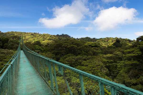 Mistico Hanging Bridges Walk 