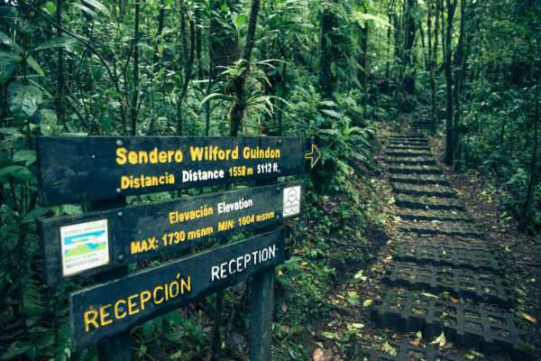 Mistico Hanging Bridges Walk 