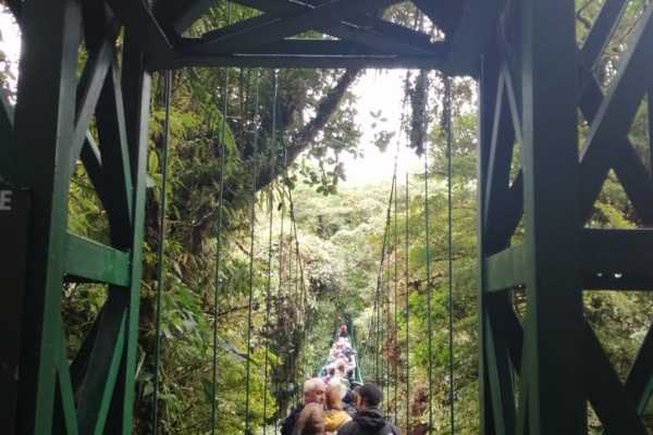 Mistico Hanging Bridges Walk 